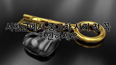 서천군에서 중고차 사기 전, 꼭 확인하세요!